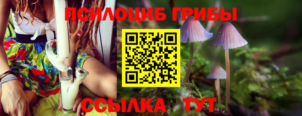 Галлюциногенные грибы мухоморы  Вход с VPN  Нарткала 