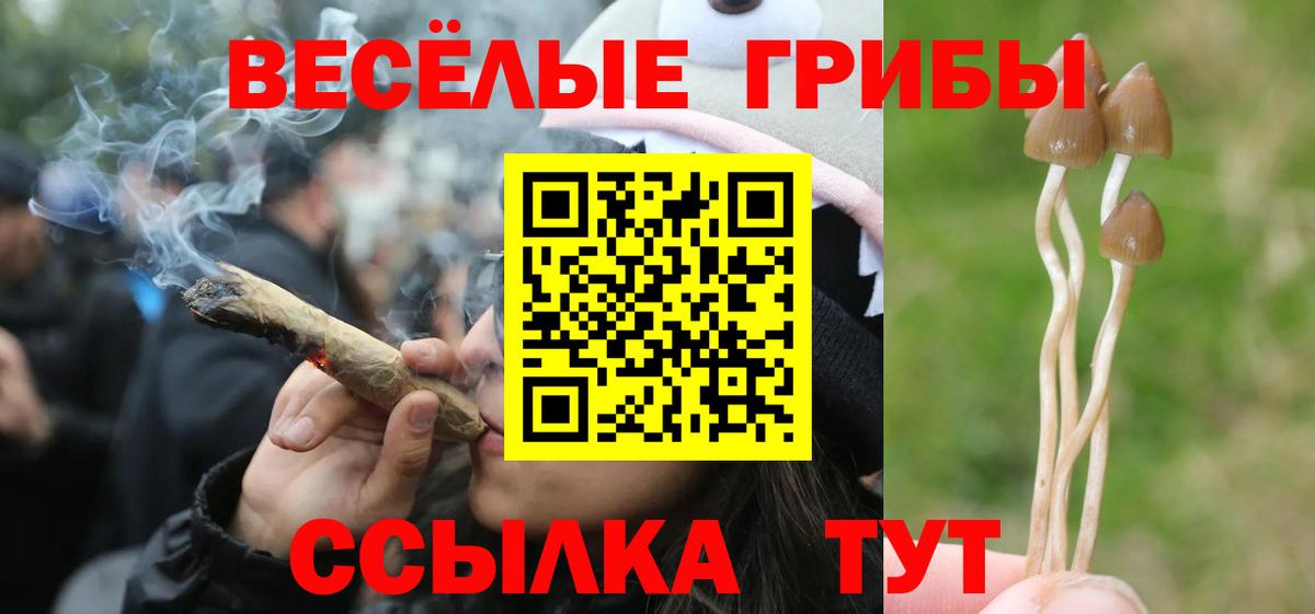Псилоцибиновые грибы Magic Shrooms Нарткала